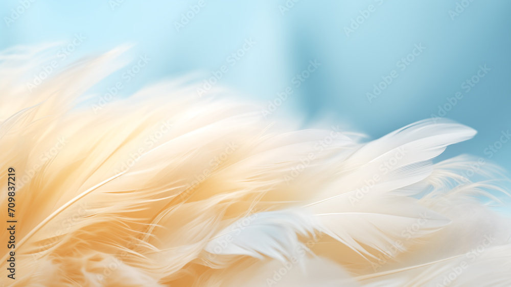 Feathered Serenity: Macro of White Bird Wing Feathered Serenity: Macro of White Bird Wing