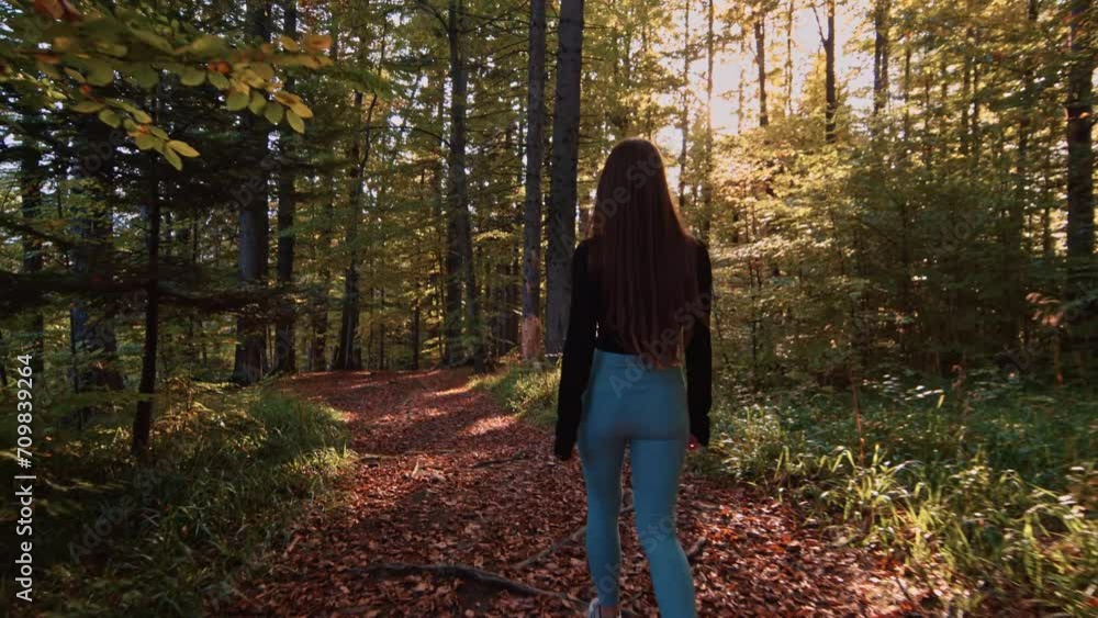 Young woman walks through natural forest. Girl hiking alone in nature at sunset. Active lifestyle. People in forest. Beautiful female explore the wild forest on holiday Young woman walks through natural forest. Girl hiking alone in nature at sunset. Active lifestyle. People in forest. Beautiful female explore the wild forest on holiday
