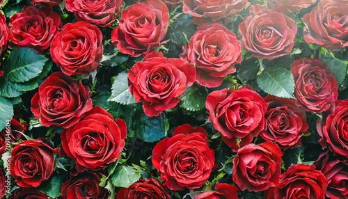 Lush Romance  Red Roses Pattern Wallpaper