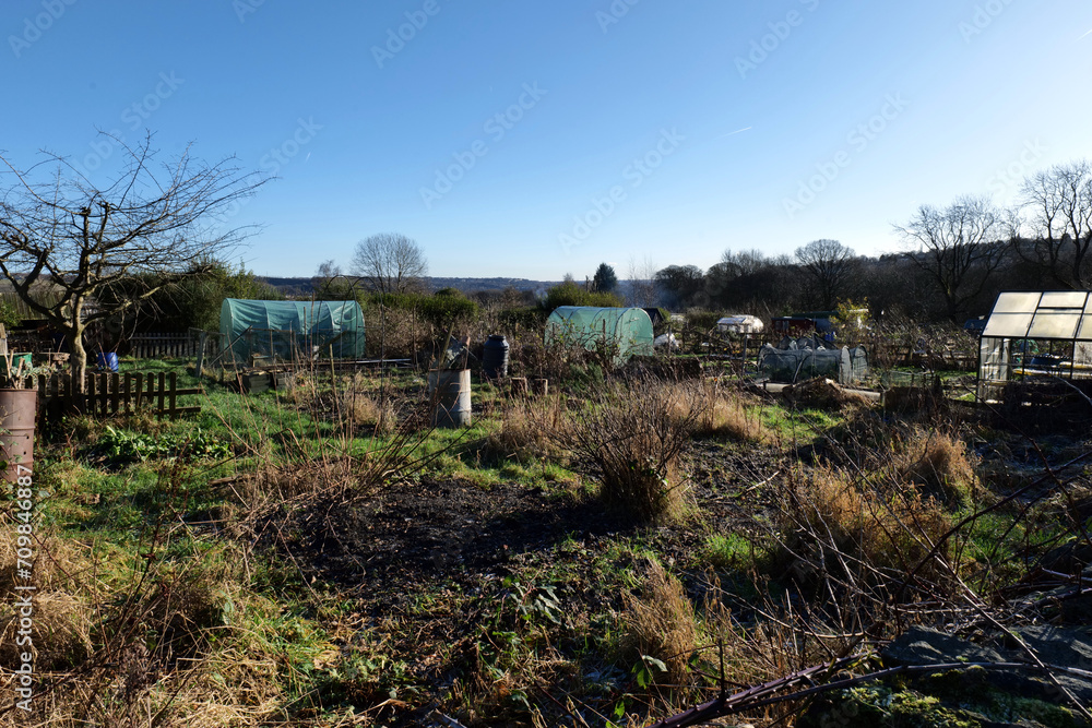 Allotment for growing vegetables, shot on a bright and sunny winters day. Green polytunnels, and other growing areas can be seen.