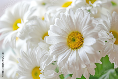 A close-up image of fresh white daisies with vibrant yellow centers  conveying purity and freshness.