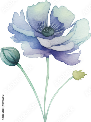 Colorful flower watercolor painting on transparent background.