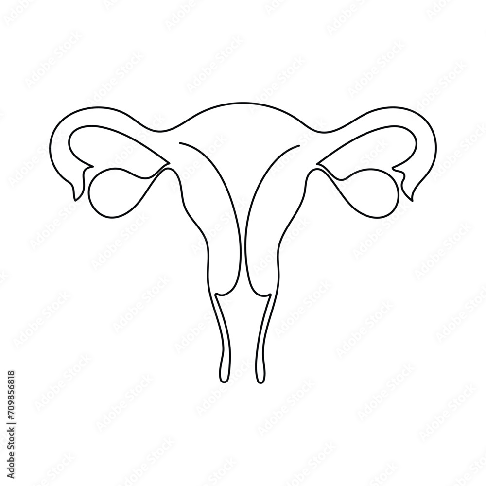 Continuous single one line drawing Uterus and ovaries, organs of female reproductive system and women's day conpect vector art illustration Continuous single one line drawing Uterus and ovaries, organs of female reproductive system and women's day conpect vector art illustration