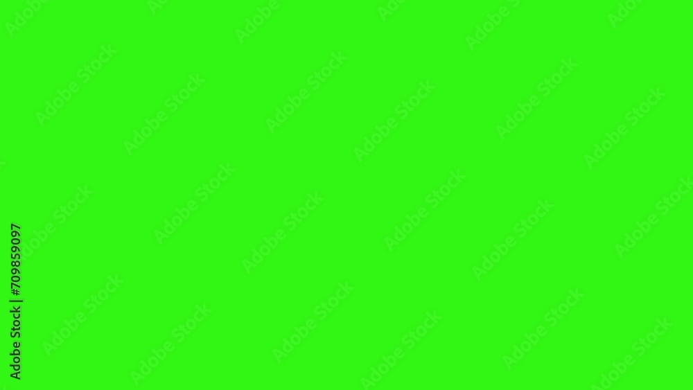 Animation of flowers on green screen, graphic source element Animation of flowers on green screen, graphic source element