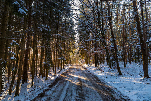 Small country road in winter with sunshine on trees