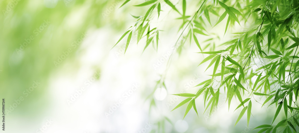 A background of vibrant green bamboo leaves, creating a lush and tropical atmosphere in a summer garden. A background of vibrant green bamboo leaves, creating a lush and tropical atmosphere in a summer garden.