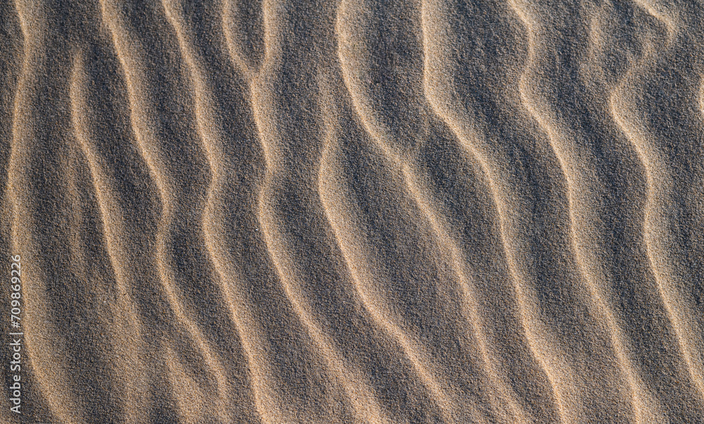 Fototapeta premium texture of sand