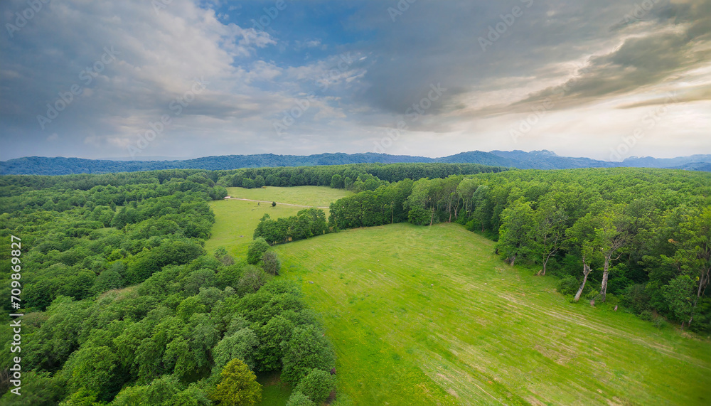 Obraz premium beautiful meadow and green forest; aerial shot; bird's eye view