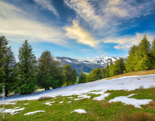 beautiful meadow in mountains with trees and snow