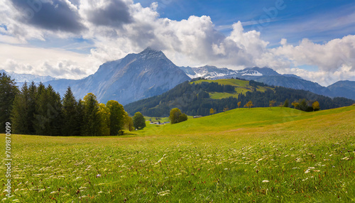 beautiful meadow with a mountain landscape; view of mount herzlberg