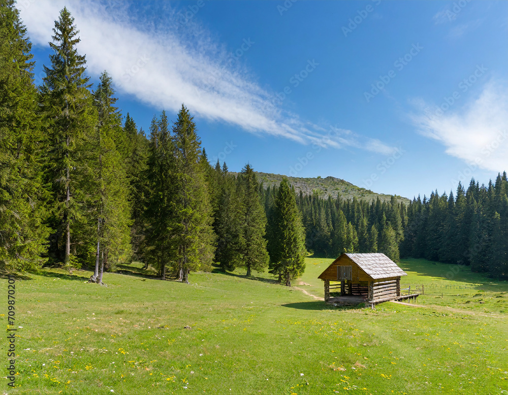 beautiful meadow with a wooden hut and a pine forest