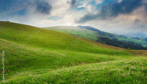 beautiful meadow with fresh green grass; concept of wild ag