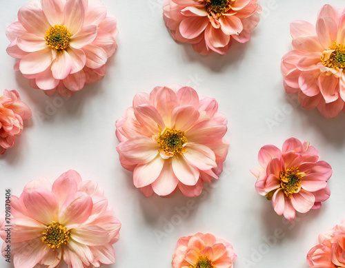 Beautiful salmon pink flower petals on white background. Flat lay  top view. Floral background