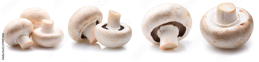 Set of champignon mushrooms isolated on white background Set of champignon mushrooms isolated on white background