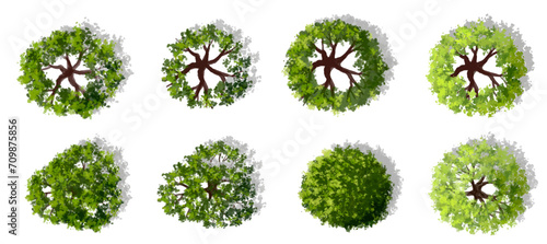 Vector set of Top view green tree for outdoor plan or map and architecture drawing, elements for environment and garden,botanical elements ,blooming flowers in spring,tropical plants element