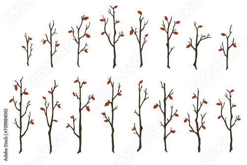 Tree branches set. Hand drawn bare wood sticks with few red leaves vector illustration. Thin forest trees silhouettes isolated on white background. Leaf abscission