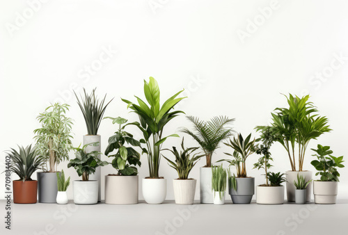 Row of Potted Plants on Table, Greenery and Nature at Home