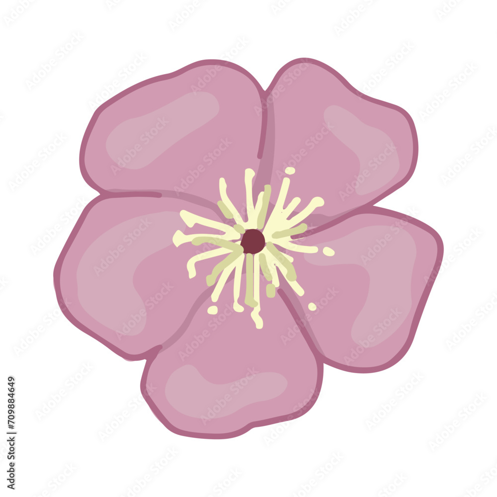 Cherry blossom flower doodle. Spring time botanical clipart. Cartoon vector illustration isolated on white background.