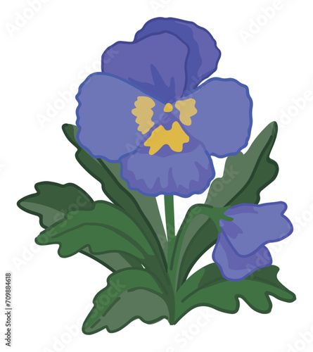 Pansies doodle. Spring time flower clipart. Cartoon vector illustration isolated on white background.