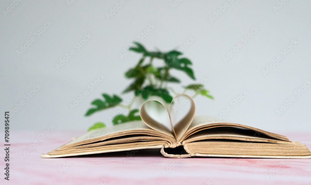 Livre ancien ouvert sur une table avec des pages qui forment un coeur devant une petite plante verte - obrazy, fototapety, plakaty 
