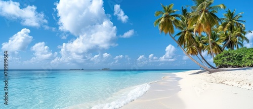 Palm trees on the beach on a tropical island in the