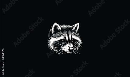 raccoon, raccoon logo, raccoon design, raccoon art logo