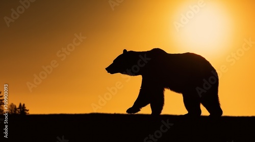 Silhouette of bear on sunset sky.