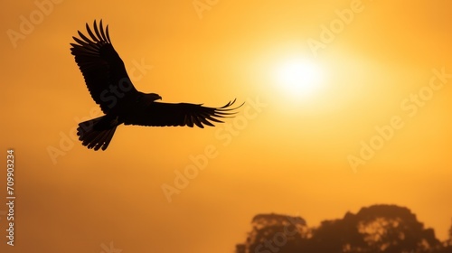 Silhouette of eagle on sunset sky. © vlntn