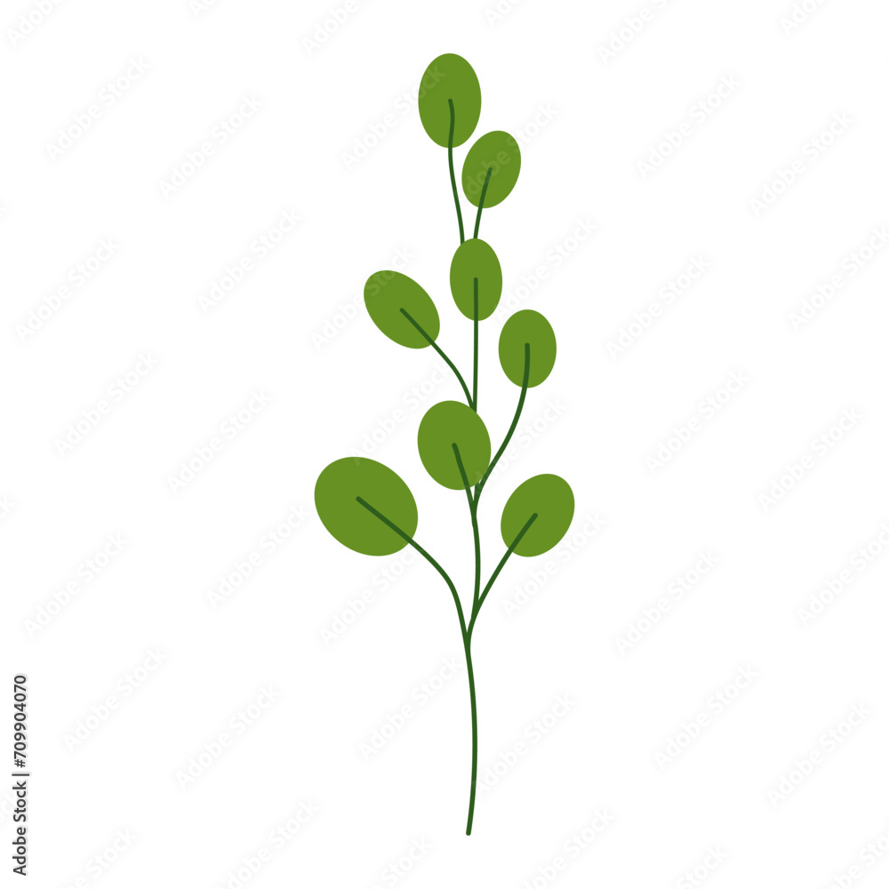 Green twig isolated on white background