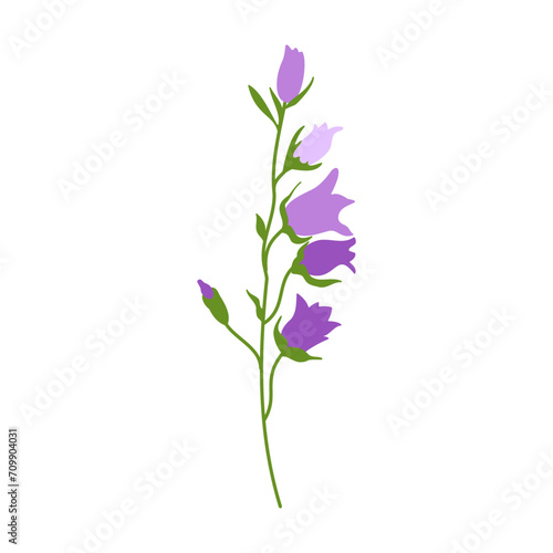 Very peri flower isolated on white background