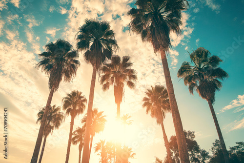 Palm trees at sunset