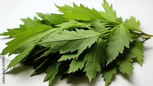 Neem leaves UHD wallpaper