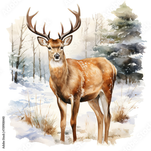 Hirsch im Winter Aquarell Kunst Bild Majestätisches Wildtier Schneelandschaft Handgemalt Naturillustration Waldtier Leinwanddruck Wildnis Wandbild Dekorative Kunst Geschenkidee