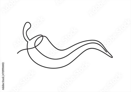 Fototapeta Red chili pepper design in continuous line art drawing style. Hot spice chilli isolated on white background. Vector illustration