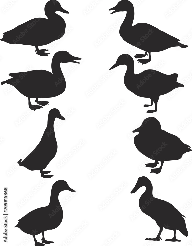 Obraz premium Beautiful Duck Silhouette Vector Art,Icon