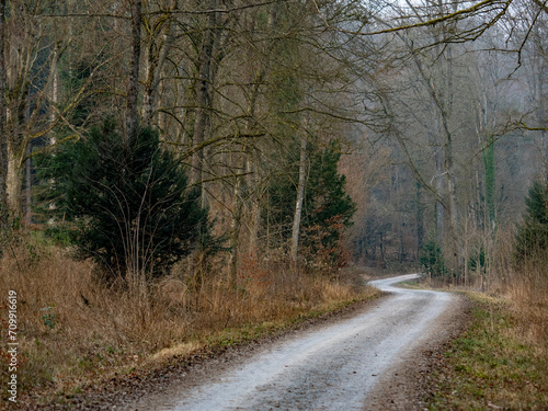 Waldweg im Winter