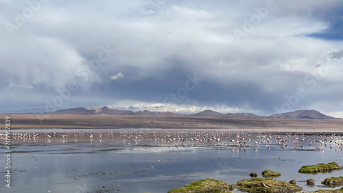 Salar de Uyuni, Bolivia - January 25, 2020 - Photo of a beautiful landscape in the salar de uyuni in the Oruro department