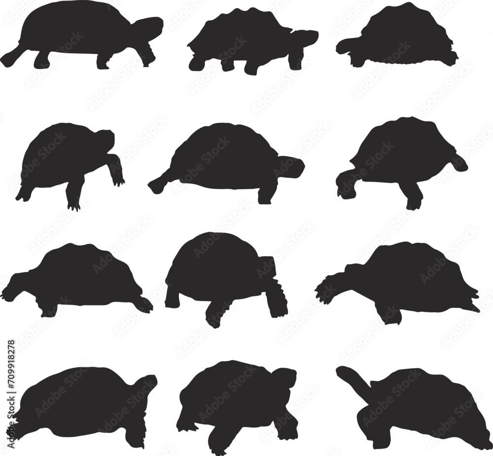 Fototapeta premium Black Tortoise Silhouette Vector Art Stock.