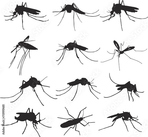Mosquito Silhouette Vector Art Icons. © Lovely