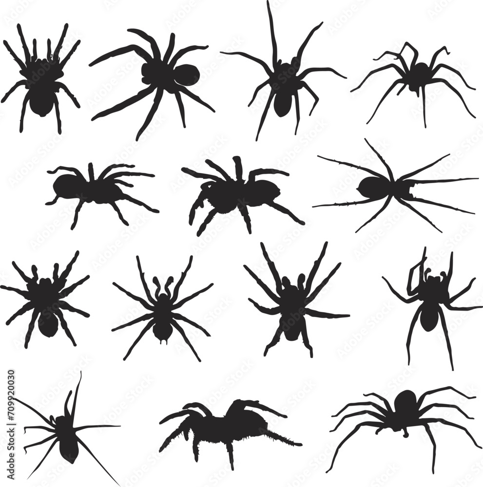 set of spider set of spider
