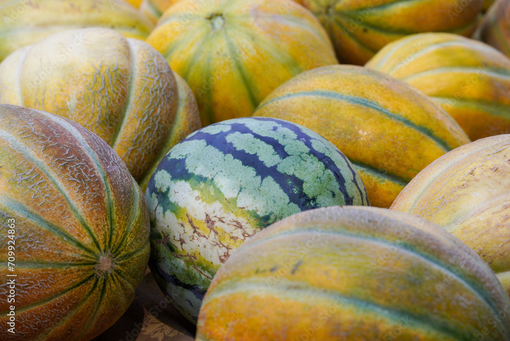 Many yellow melons and one watermelon photographed close up. An outdoor market in a small village.