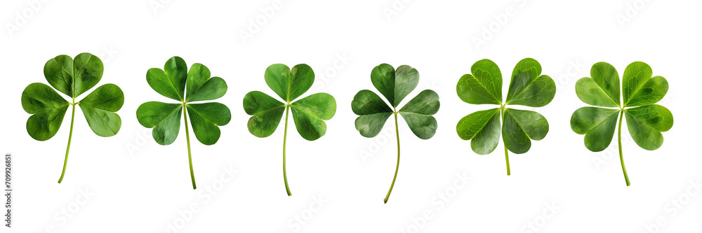 Set collection of lucky clover and shamrock isolated on transparent background, Saint Patrick day celebration symbol, png file - obrazy, fototapety, plakaty 