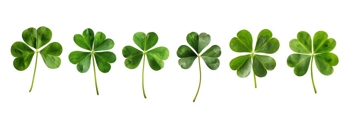 Collection set, photo of green lucky clover and shamrock isolated on white or transparent background, St Patrick's day celebration symbol, png cut out