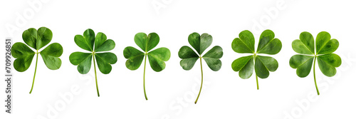 Set collection of lucky clover and shamrock isolated on transparent background, Saint Patrick day celebration symbol, png file © Delphotostock