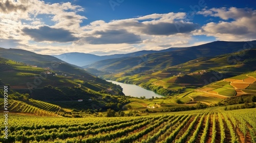 Douro Valley. Vineyards and landscape near Pinhao town, Portugal.