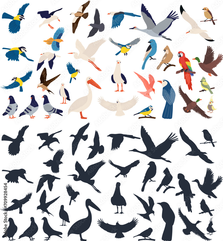large set of birds, different breeds vector