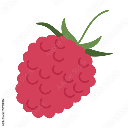 Red raspberry. Hand drawn juicy forest raspberry, fresh edible red berry for healthy nutrition flat vector illustration. Delicious raspberry on white background