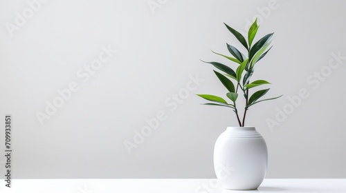 a plant gracefully placed in a vase against a clean, white backdrop. © Khan