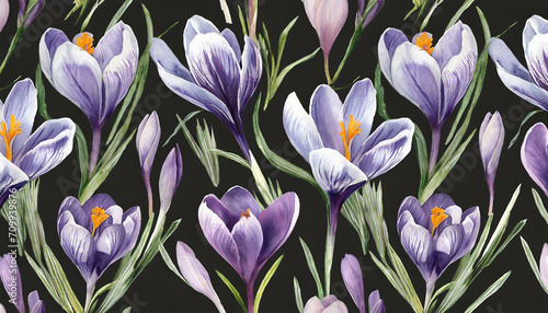 seamless floral pattern with violet crocuses isolated over a black background_ watercolor hand drawn illustration © yahan balch