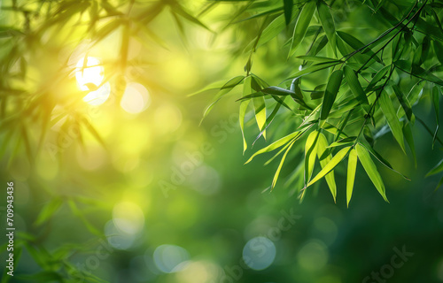 Bamboo leaves, Green leaf on blurred greenery background.